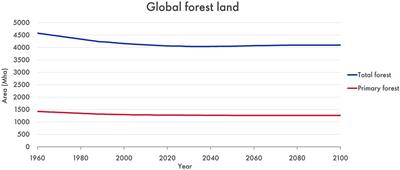 The importance of natural land carbon sinks in modelling future emissions pathways and assessing individual country progress towards net-zero emissions targets